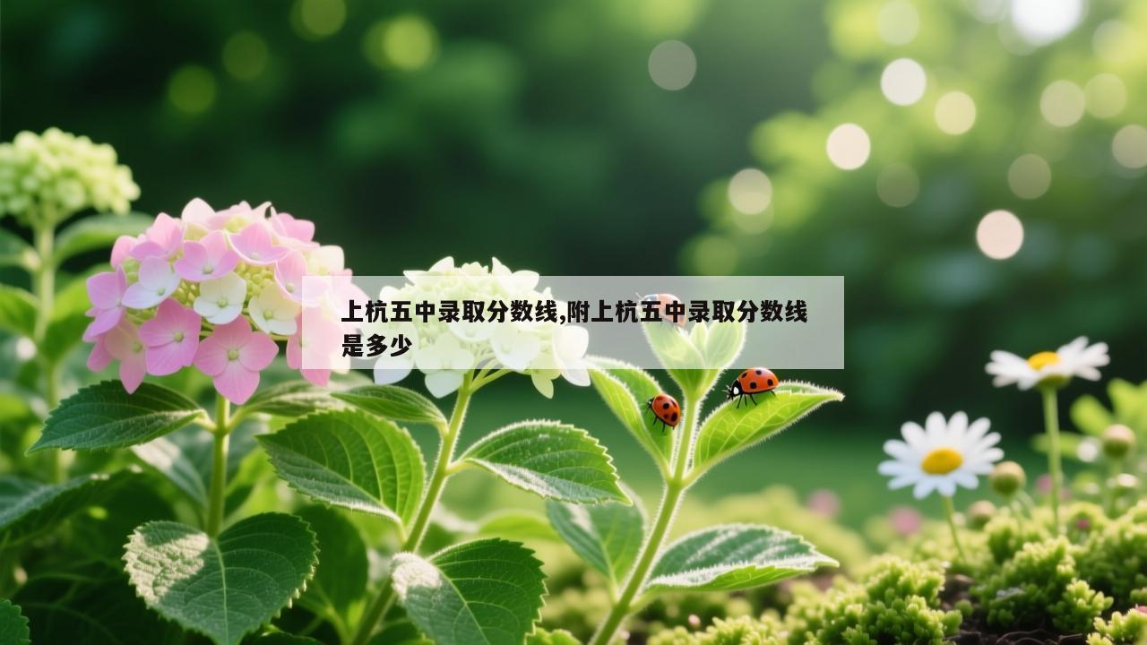 上杭五中录取分数线,附上杭五中录取分数线是多少