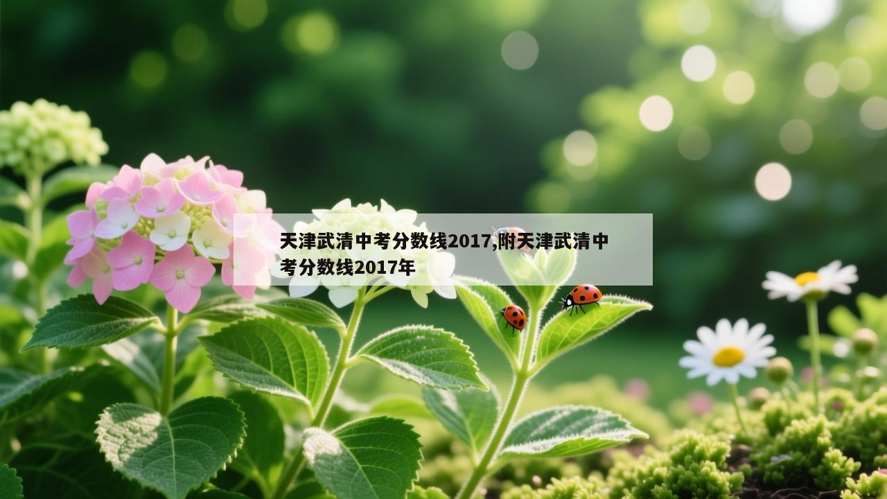 天津武清中考分数线2017,附天津武清中考分数线2017年