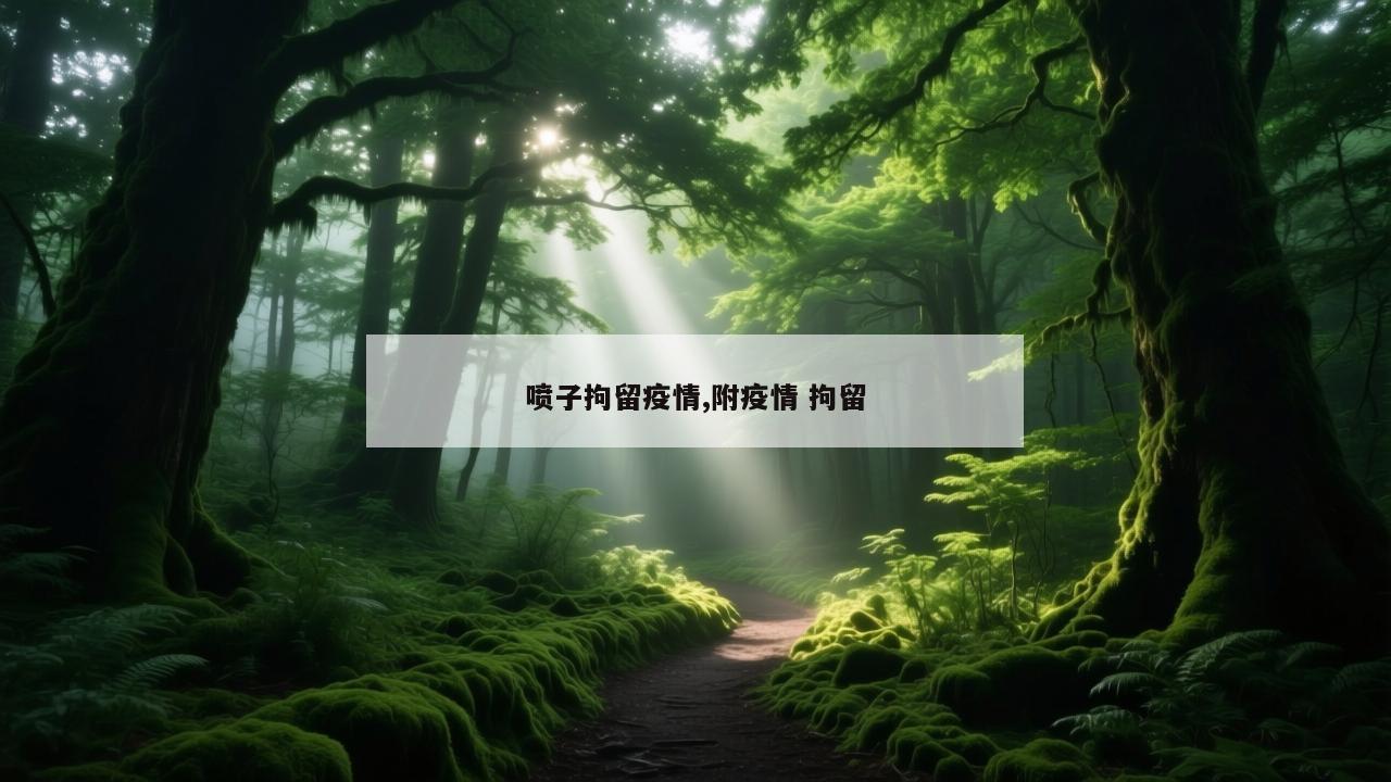 喷子拘留疫情,附疫情 拘留