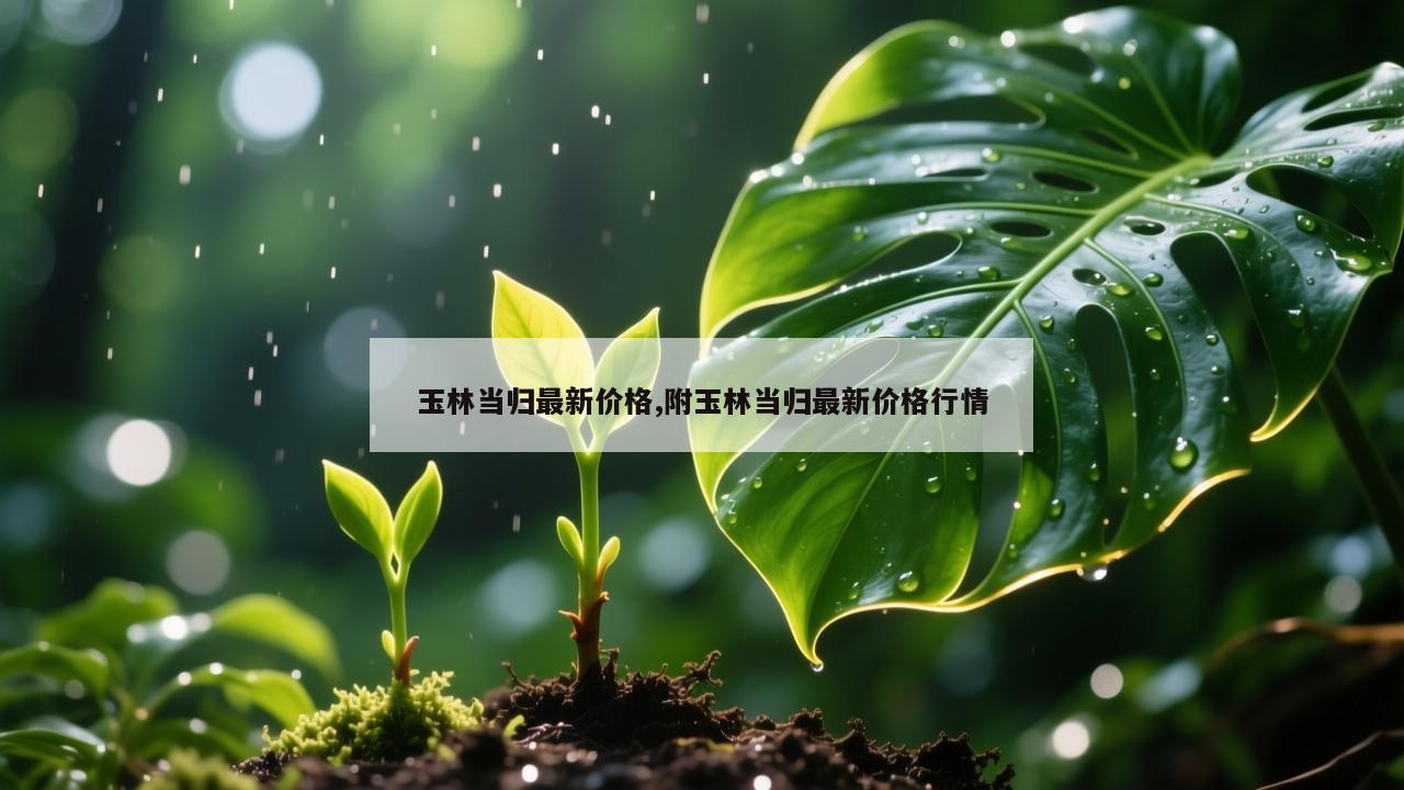 玉林当归最新价格,附玉林当归最新价格行情