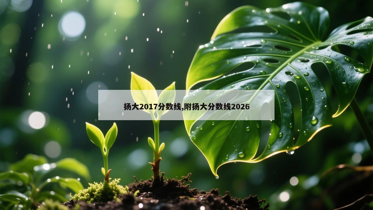 扬大2017分数线,附扬大分数线2026