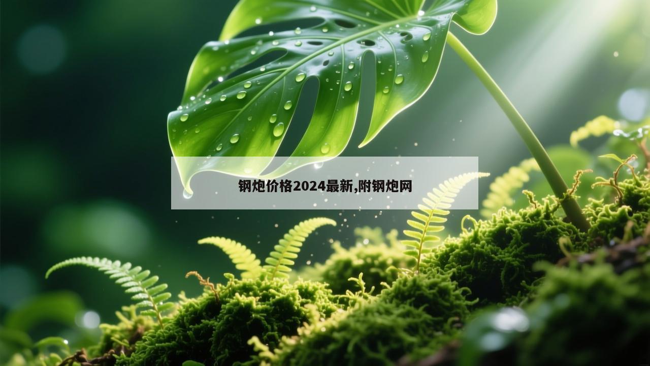 钢炮价格2024最新,附钢炮网