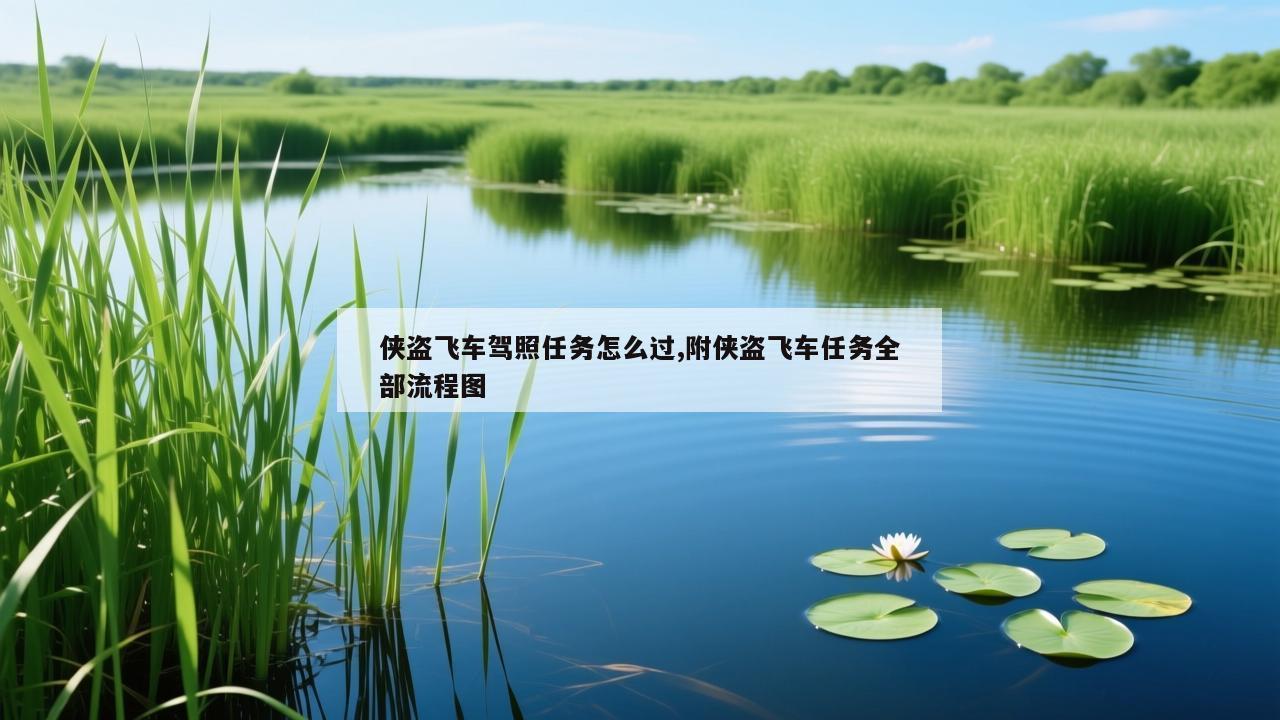 侠盗飞车驾照任务怎么过,附侠盗飞车任务全部流程图