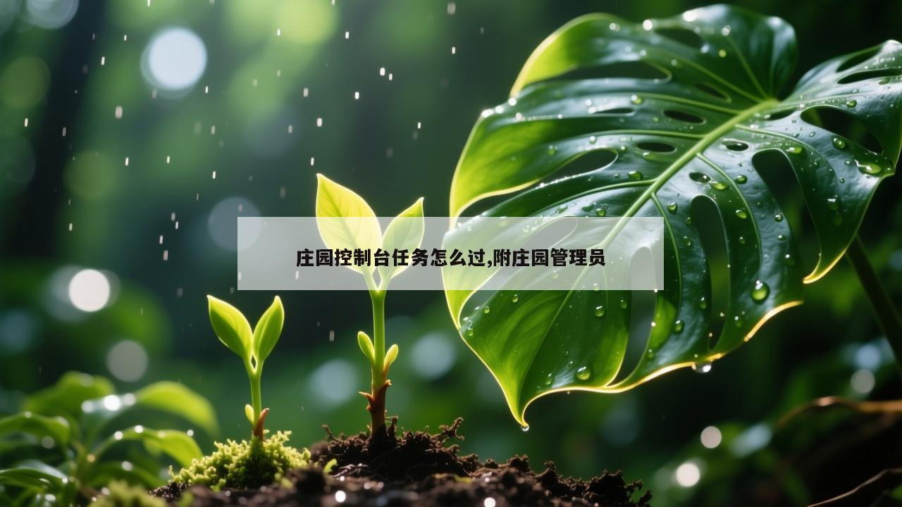 庄园控制台任务怎么过,附庄园管理员