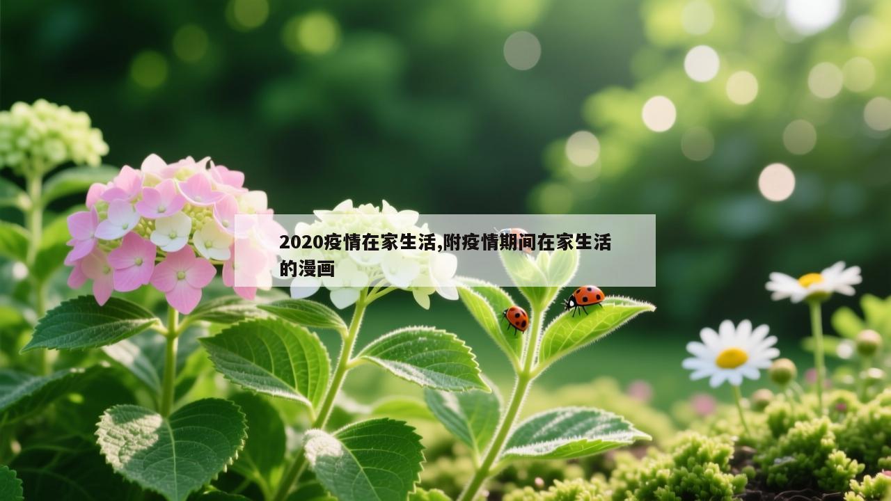 2020疫情在家生活,附疫情期间在家生活的漫画