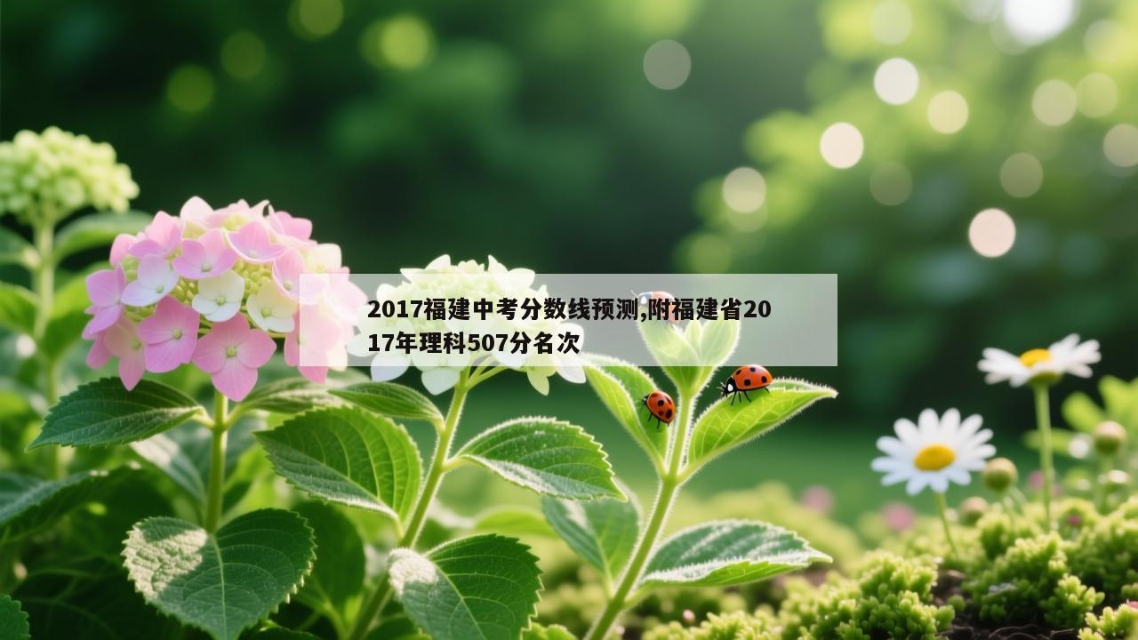 2017福建中考分数线预测,附福建省2017年理科507分名次