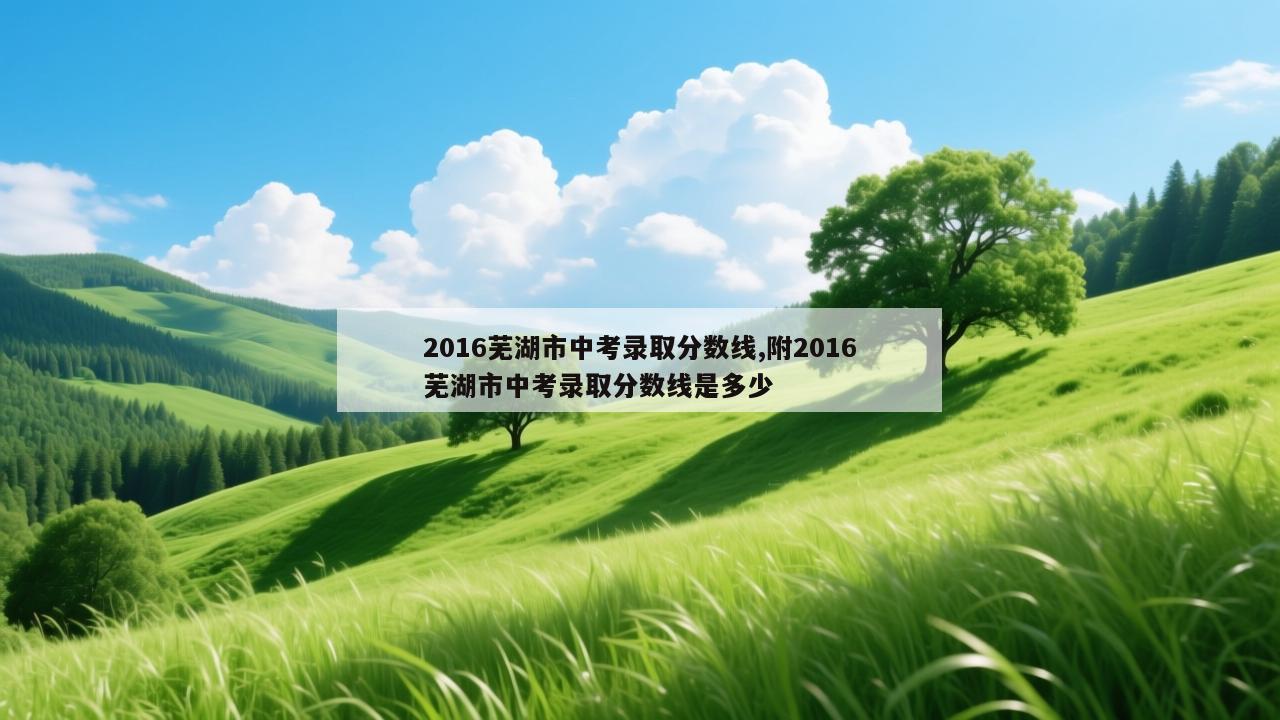 2016芜湖市中考录取分数线,附2016芜湖市中考录取分数线是多少