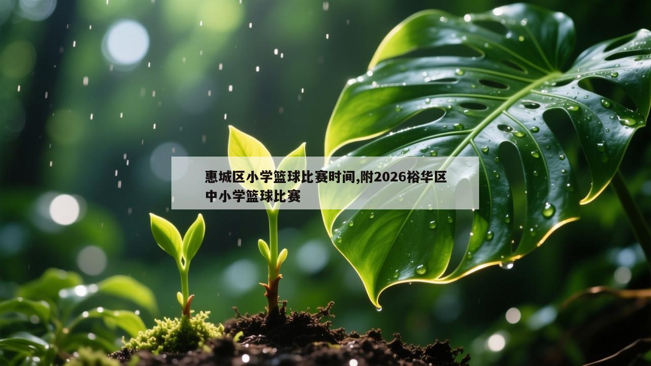 惠城区小学篮球比赛时间,附2026裕华区中小学篮球比赛