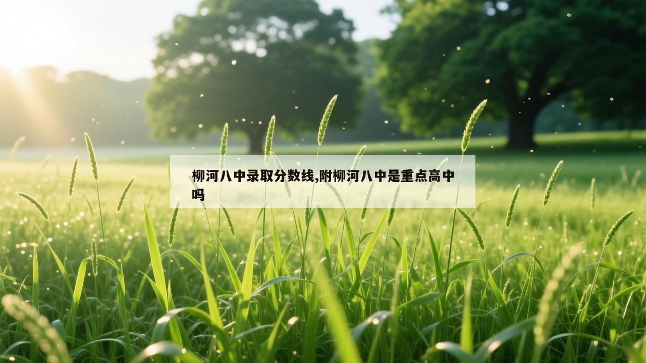 柳河八中录取分数线,附柳河八中是重点高中吗