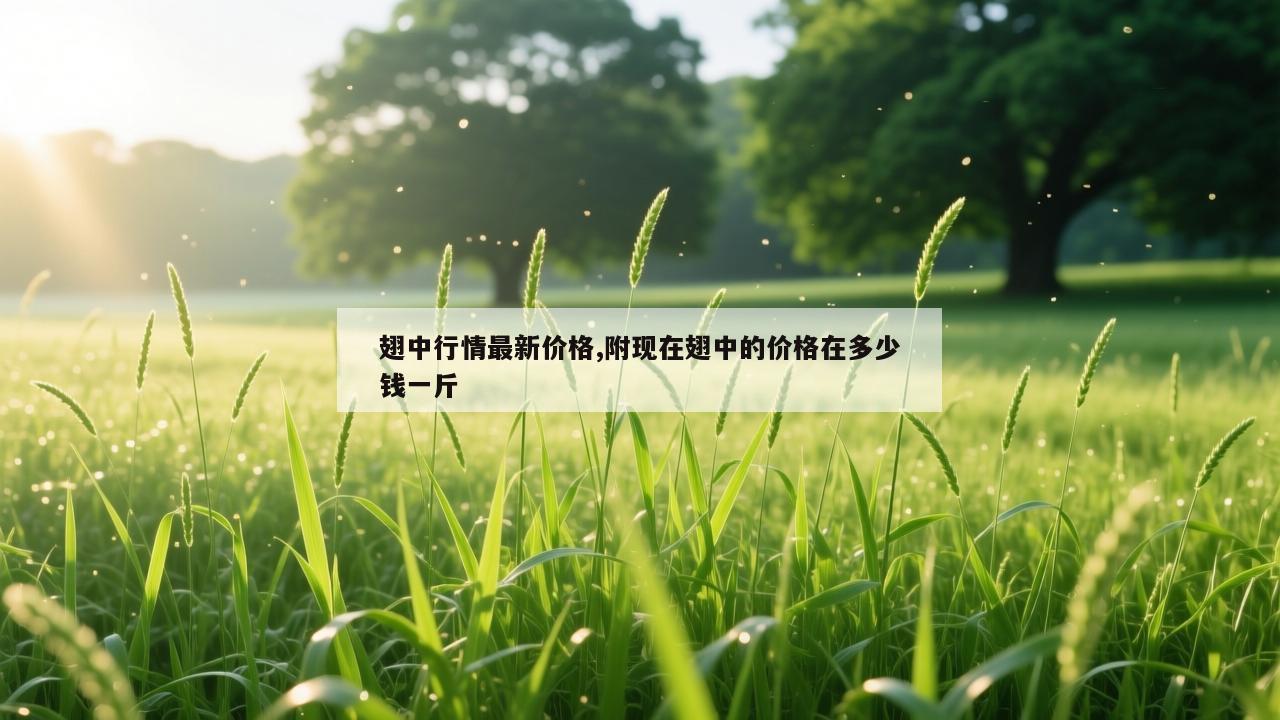 翅中行情最新价格,附现在翅中的价格在多少钱一斤