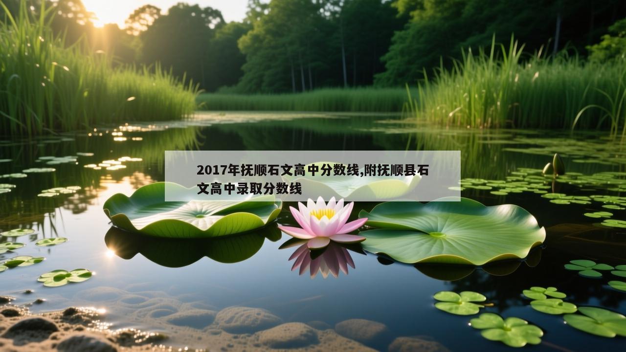 2017年抚顺石文高中分数线,附抚顺县石文高中录取分数线