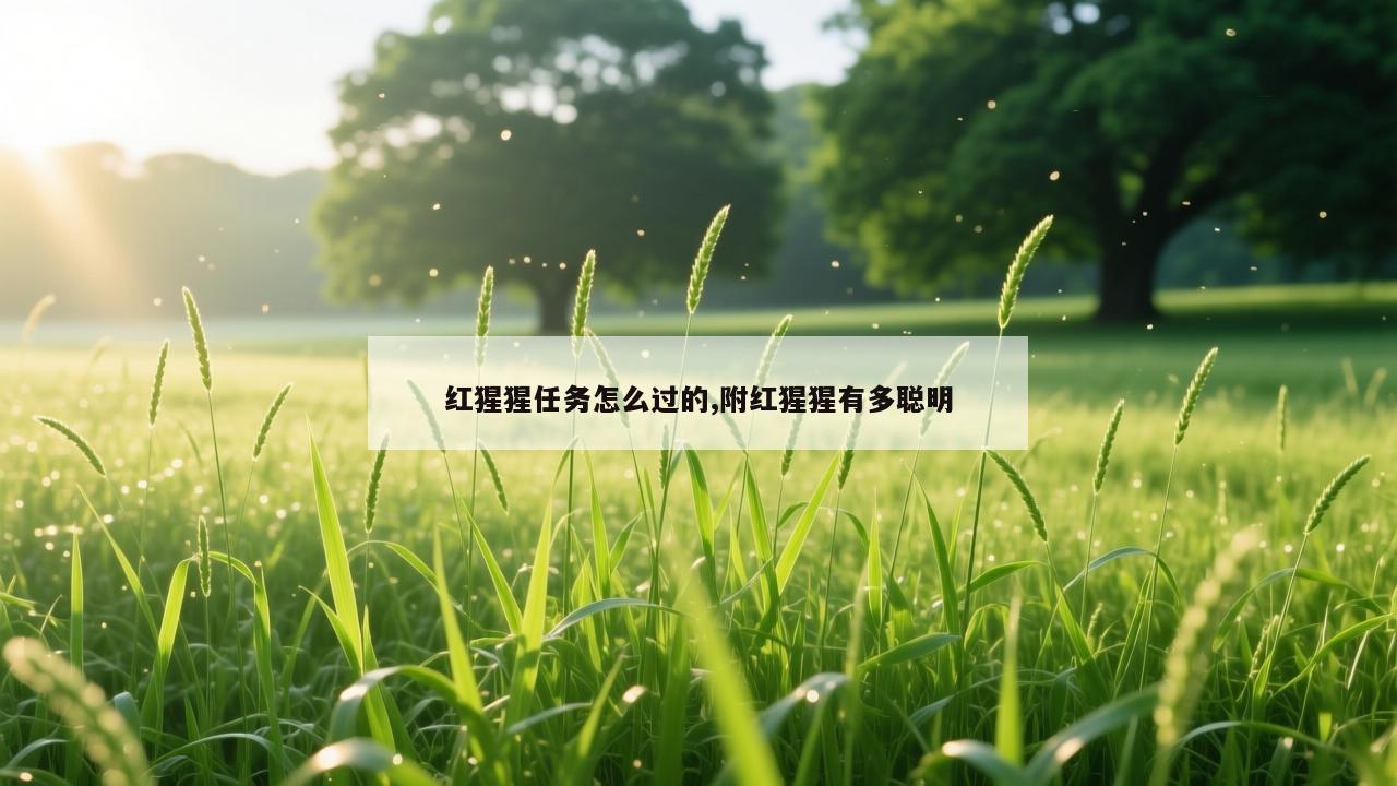 红猩猩任务怎么过的,附红猩猩有多聪明