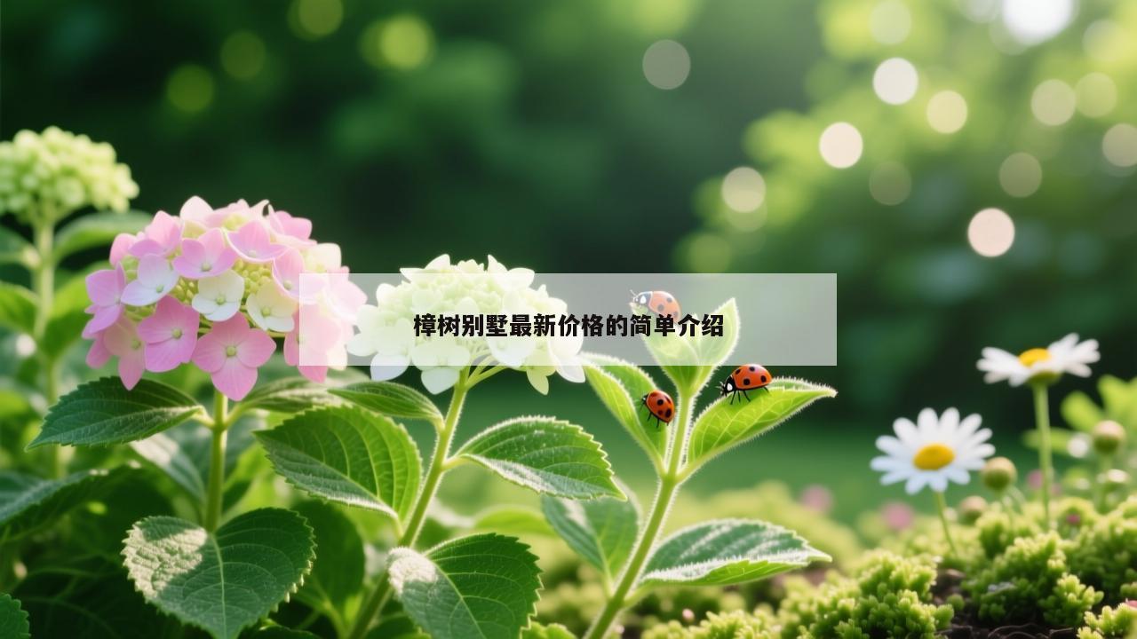 樟树别墅最新价格的简单介绍