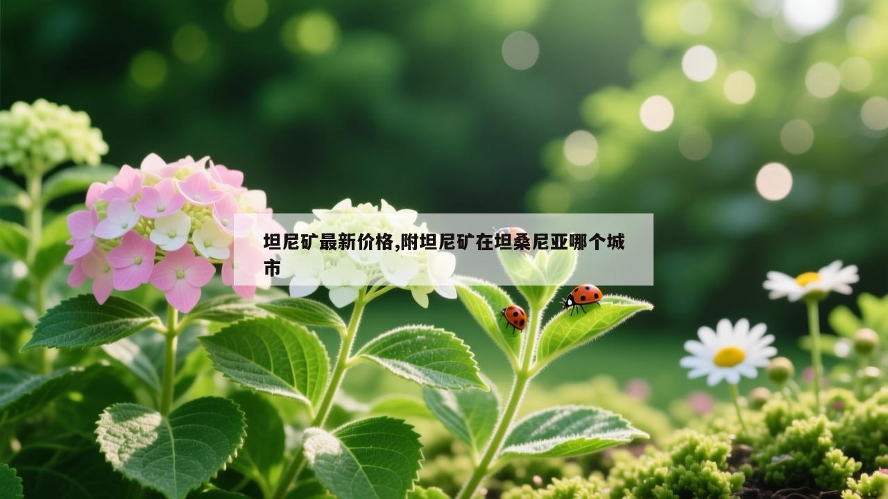 坦尼矿最新价格,附坦尼矿在坦桑尼亚哪个城市