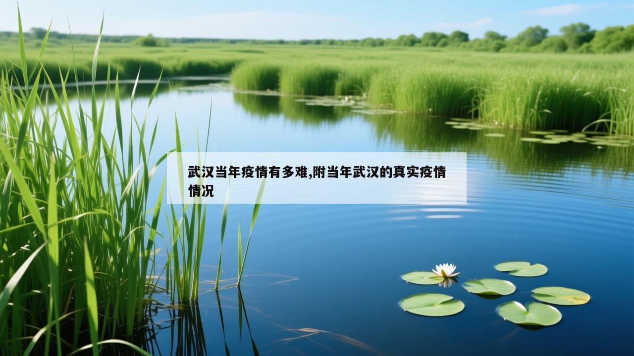 武汉当年疫情有多难,附当年武汉的真实疫情情况
