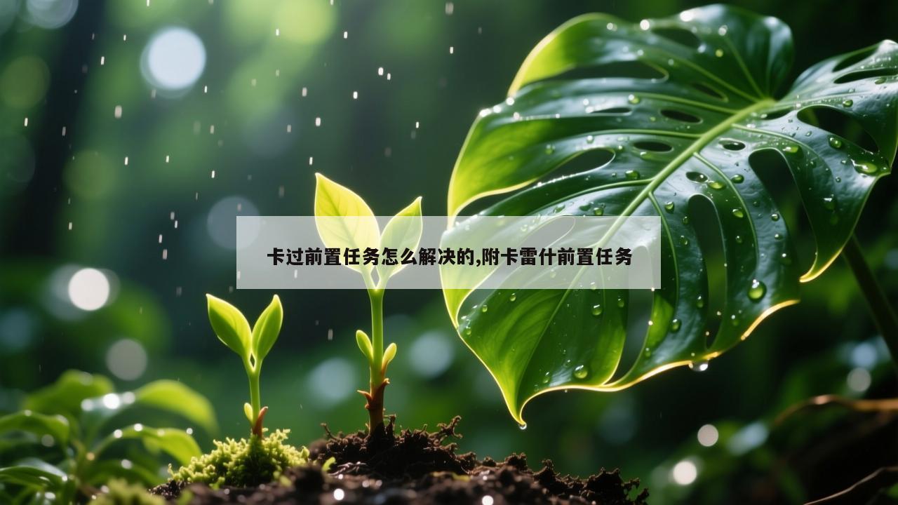 卡过前置任务怎么解决的,附卡雷什前置任务