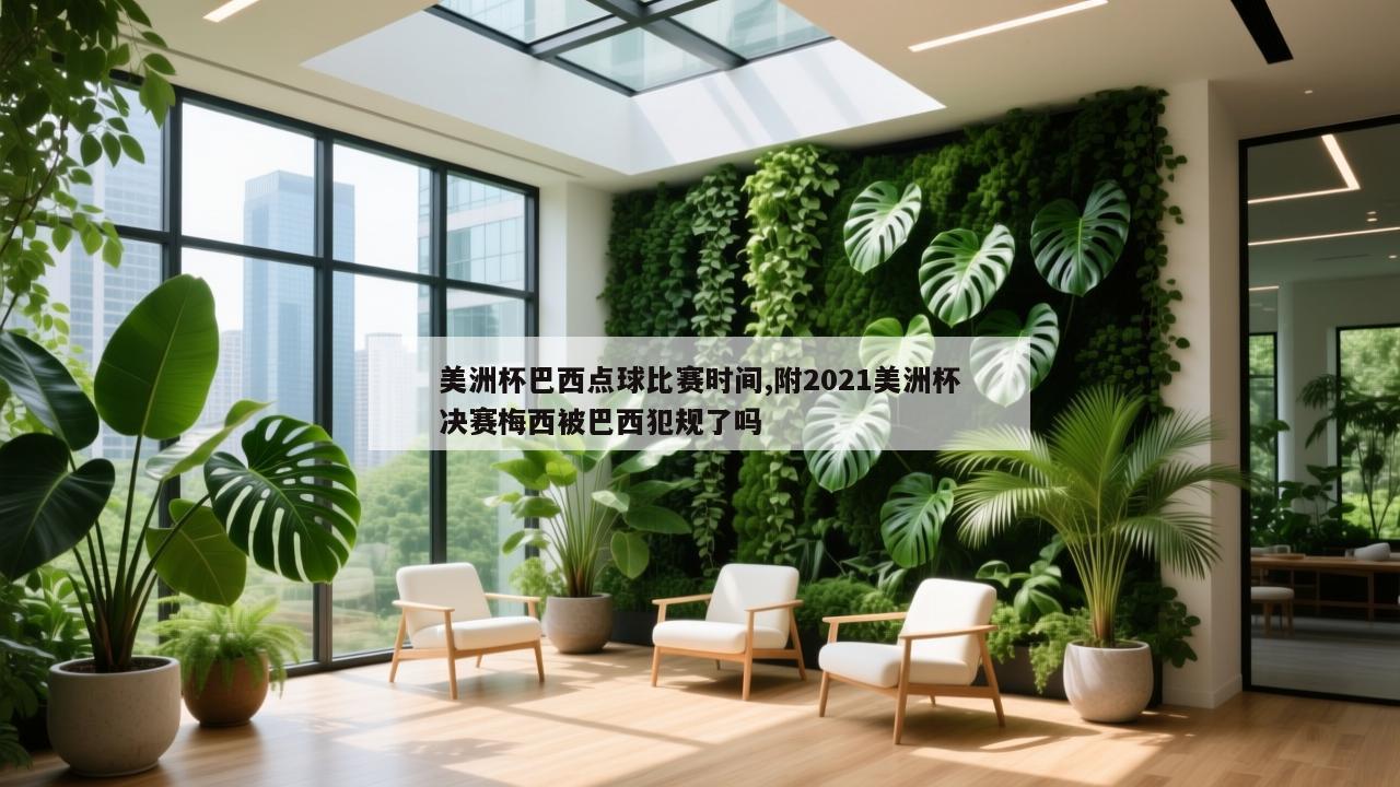 美洲杯巴西点球比赛时间,附2021美洲杯决赛梅西被巴西犯规了吗