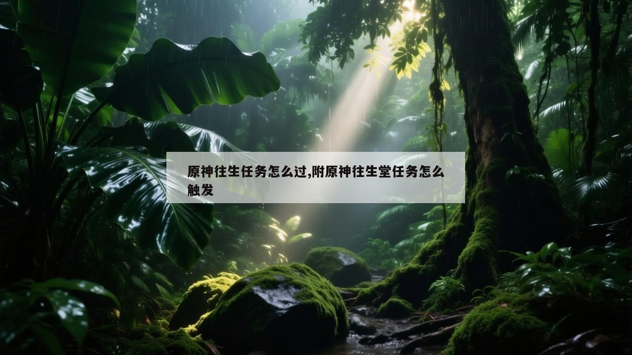 原神往生任务怎么过,附原神往生堂任务怎么触发