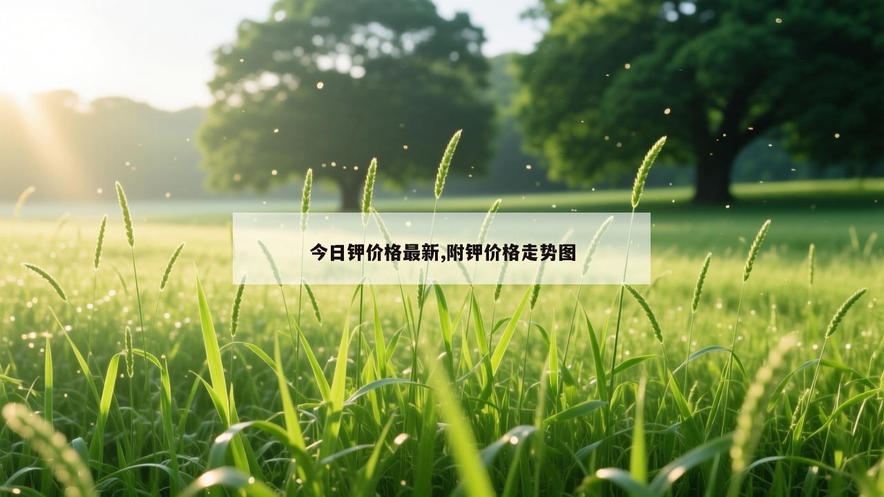 今日钾价格最新,附钾价格走势图
