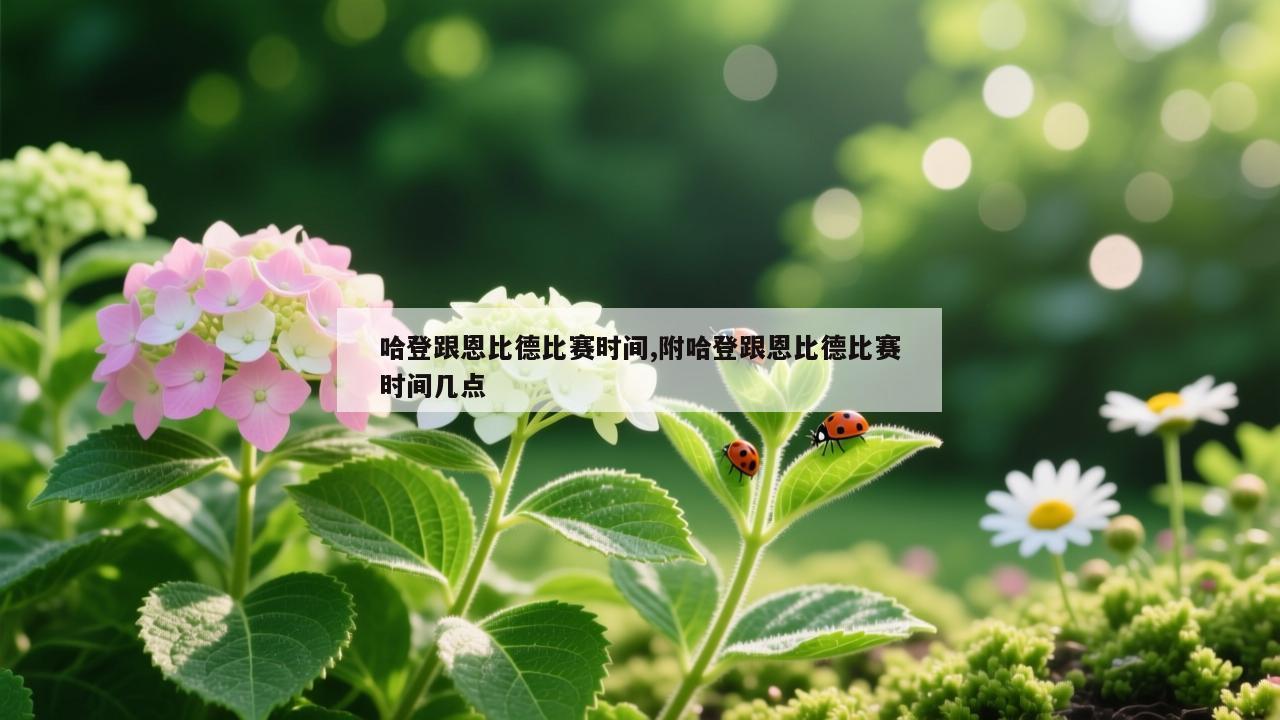 哈登跟恩比德比赛时间,附哈登跟恩比德比赛时间几点