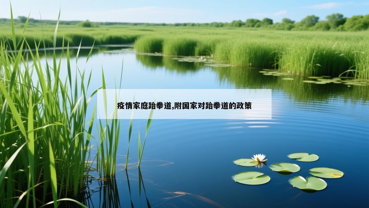 疫情家庭跆拳道,附国家对跆拳道的政策
