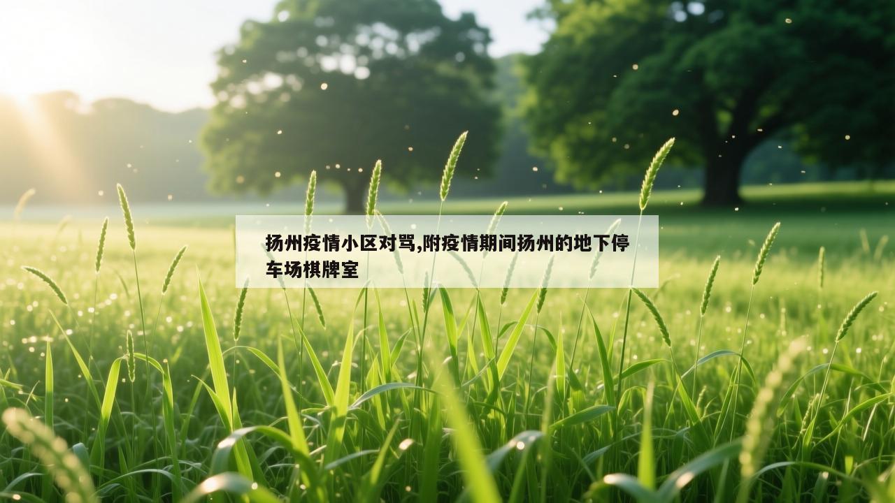 扬州疫情小区对骂,附疫情期间扬州的地下停车场棋牌室