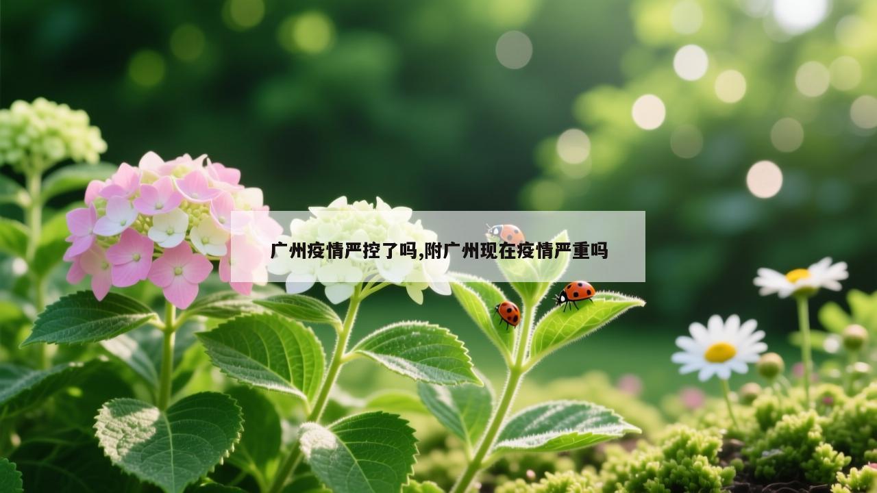 广州疫情严控了吗,附广州现在疫情严重吗