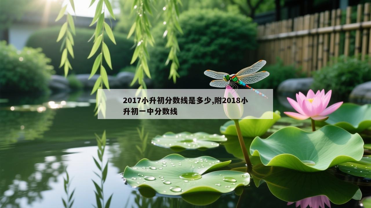 2017小升初分数线是多少,附2018小升初一中分数线