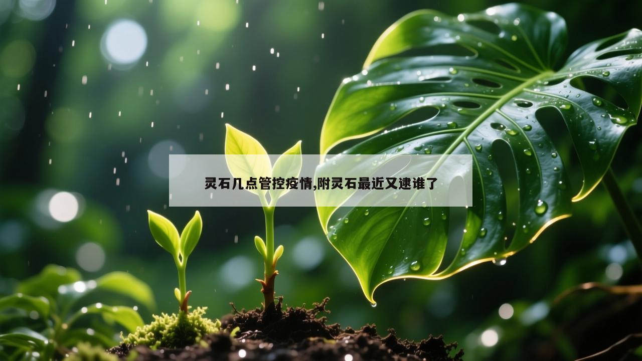 灵石几点管控疫情,附灵石最近又逮谁了