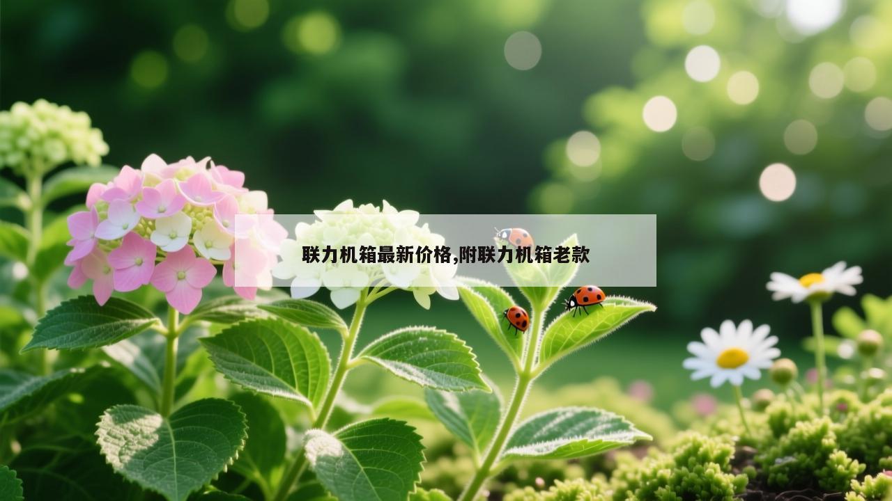联力机箱最新价格,附联力机箱老款