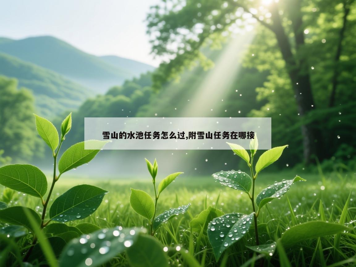 雪山的水池任务怎么过,附雪山任务在哪接
