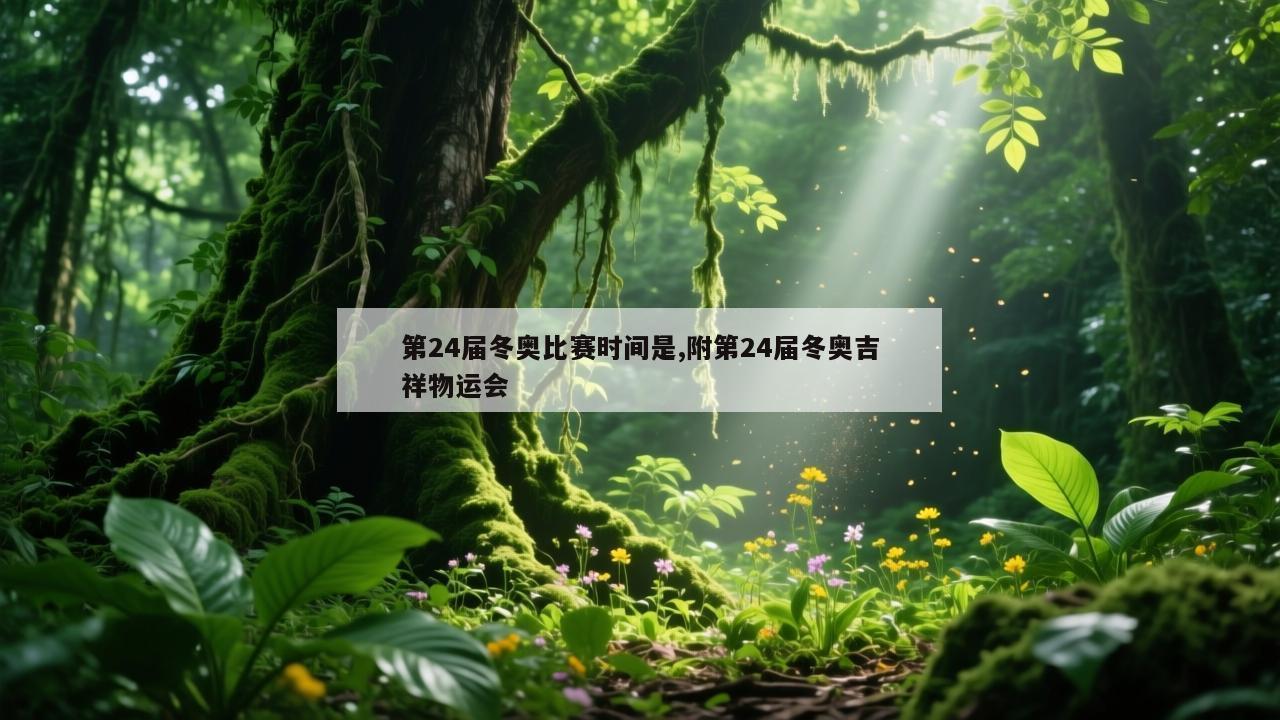 第24届冬奥比赛时间是,附第24届冬奥吉祥物运会