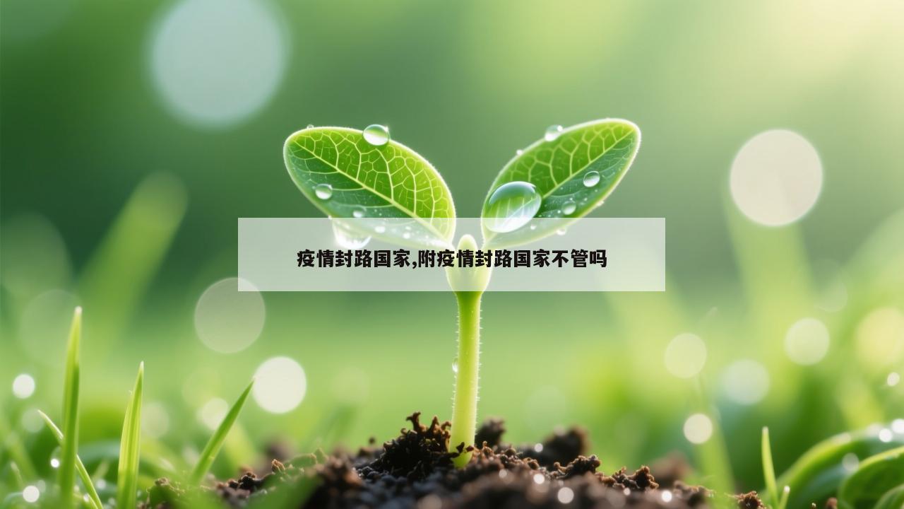 疫情封路国家,附疫情封路国家不管吗