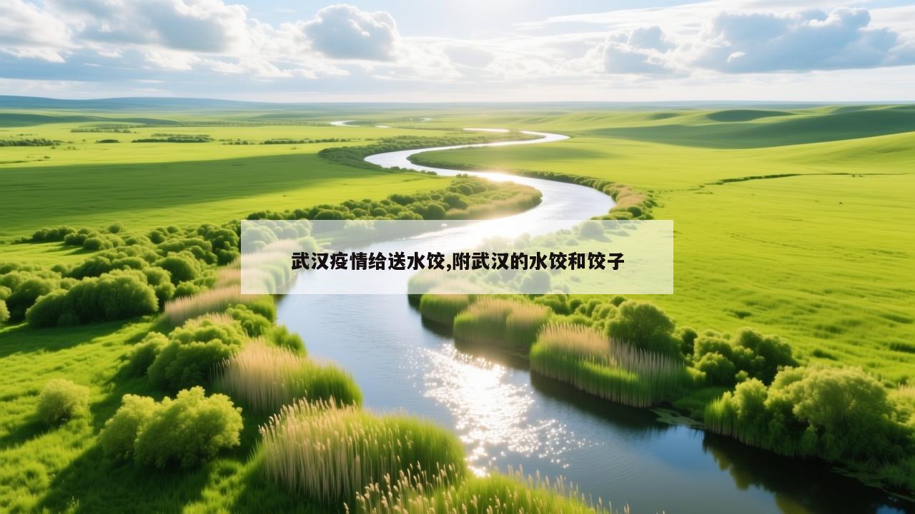 武汉疫情给送水饺,附武汉的水饺和饺子