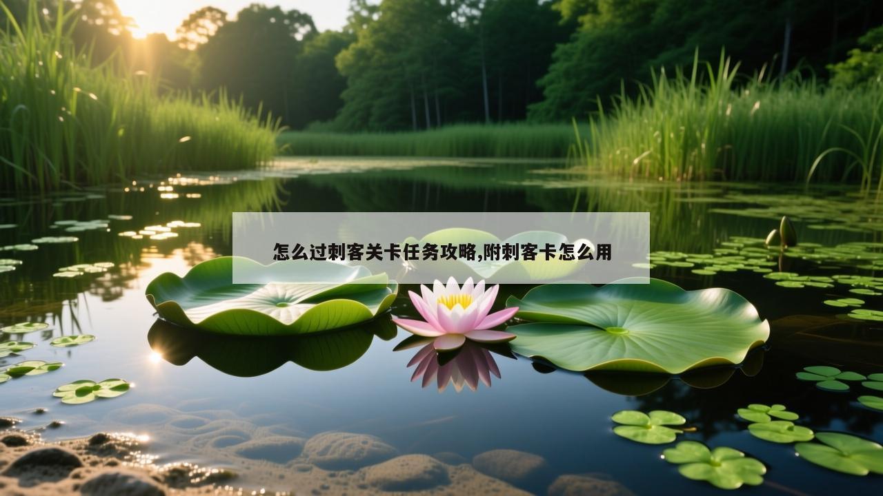 怎么过刺客关卡任务攻略,附刺客卡怎么用