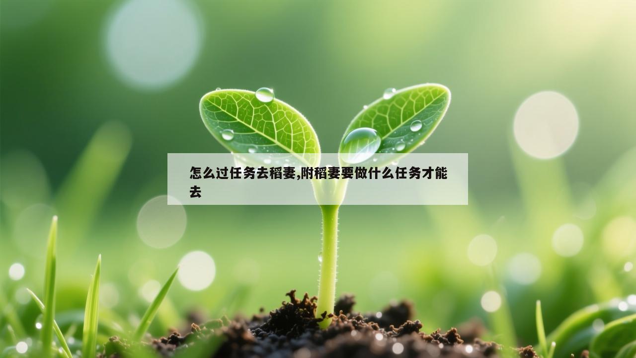 怎么过任务去稻妻,附稻妻要做什么任务才能去