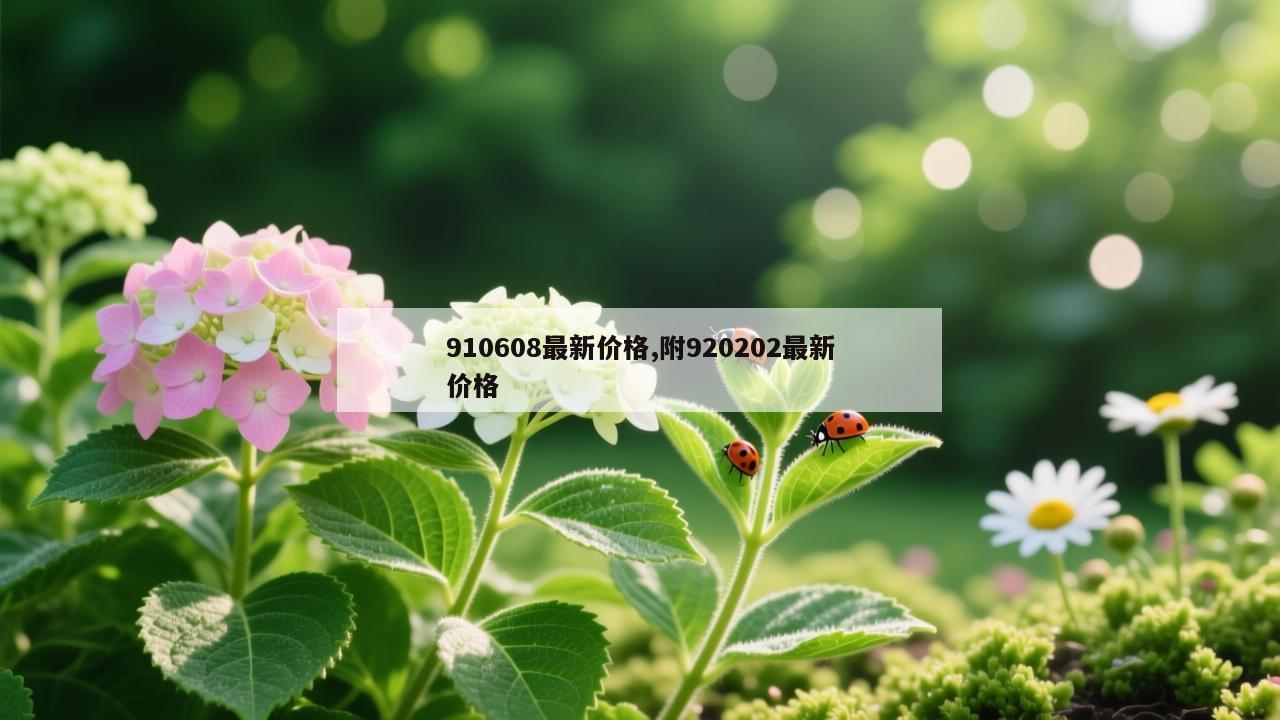 910608最新价格,附920202最新价格