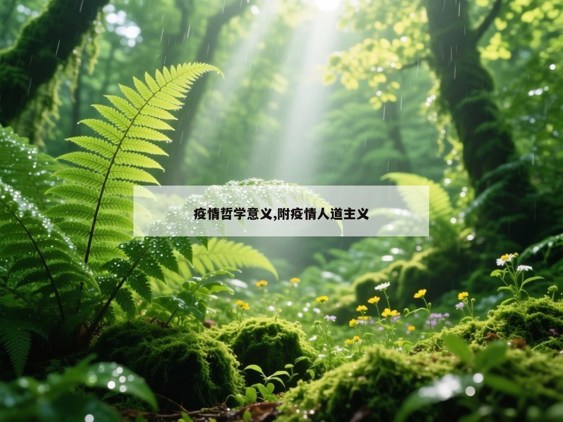 疫情哲学意义,附疫情人道主义