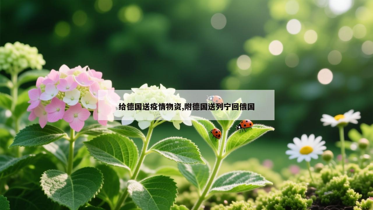 给德国送疫情物资,附德国送列宁回俄国