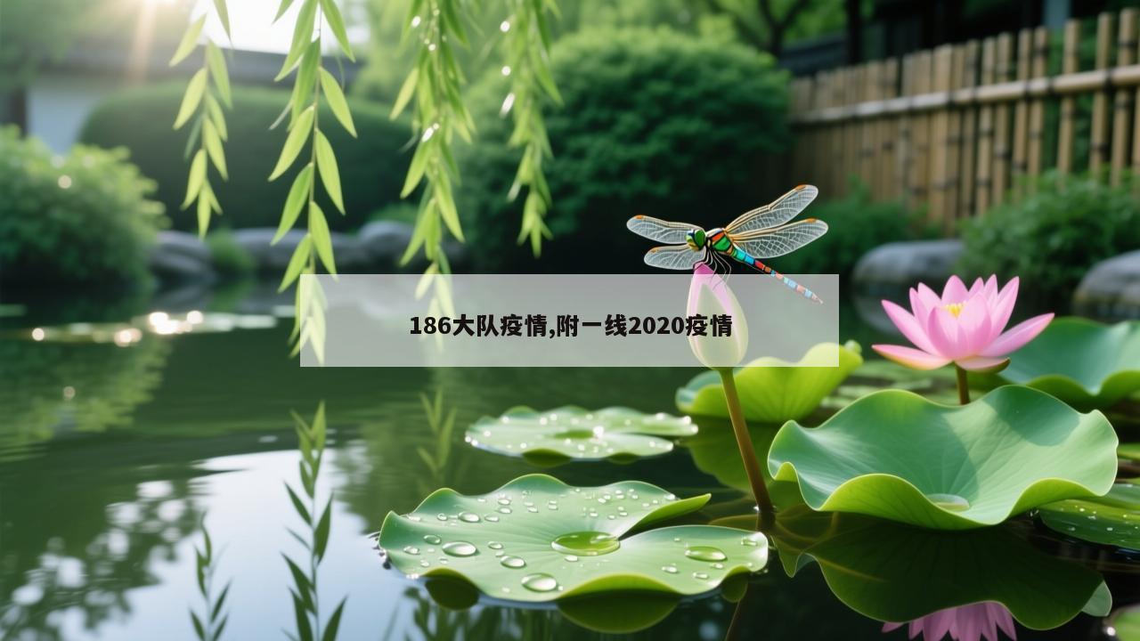 186大队疫情,附一线2020疫情