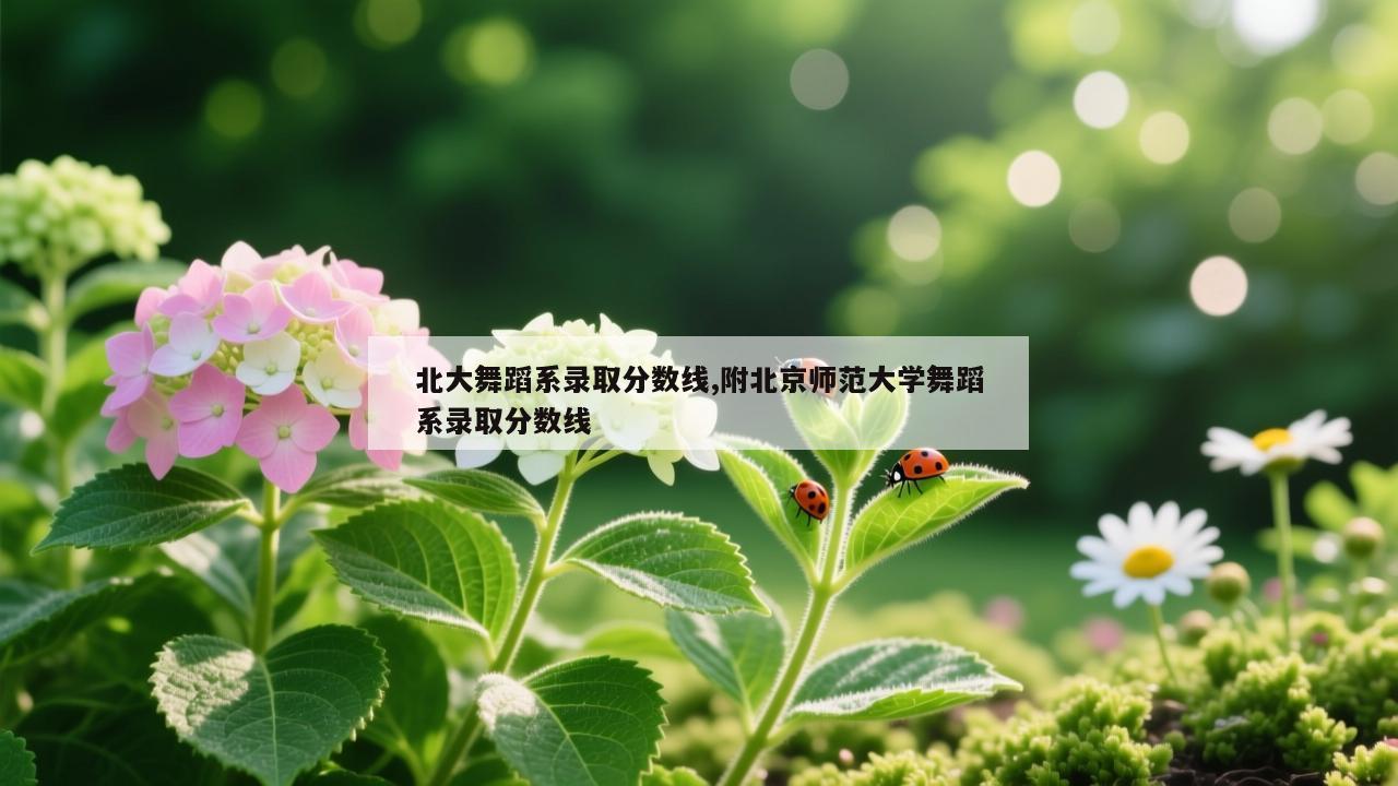 北大舞蹈系录取分数线,附北京师范大学舞蹈系录取分数线