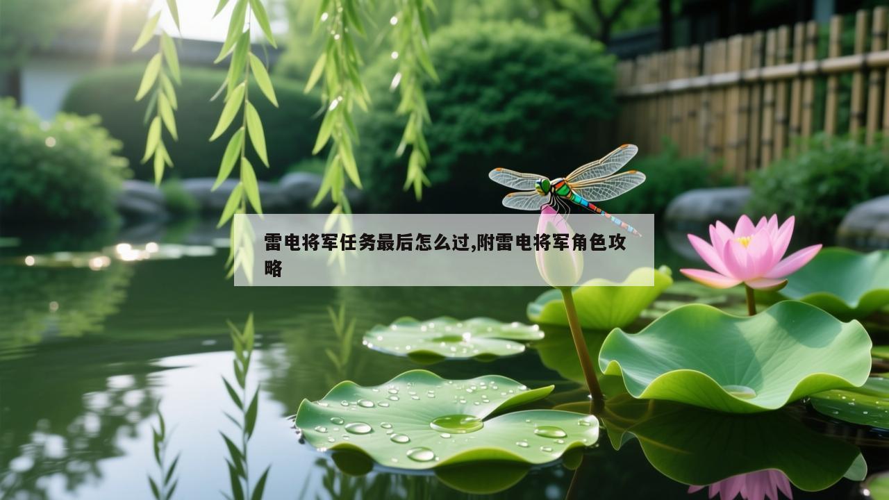 雷电将军任务最后怎么过,附雷电将军角色攻略