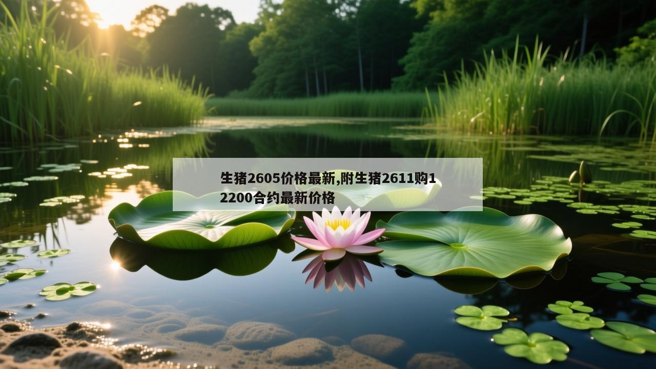 生猪2605价格最新,附生猪2611购12200合约最新价格