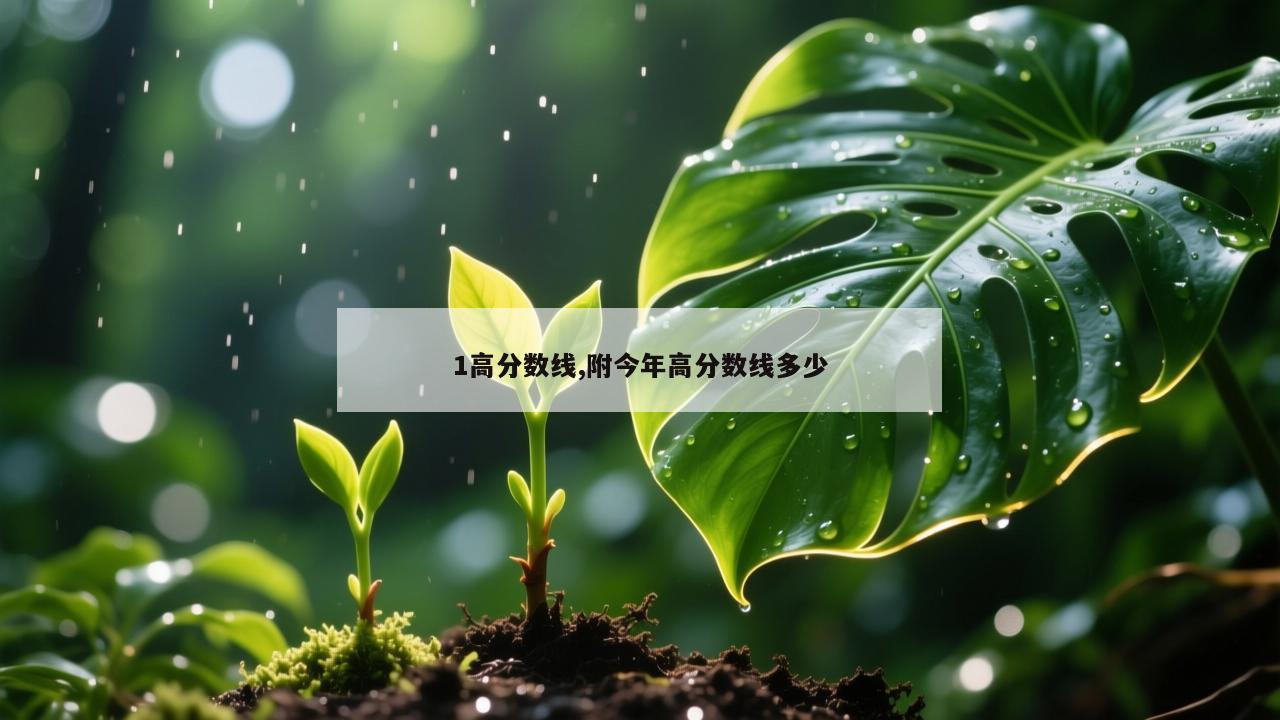 1高分数线,附今年高分数线多少