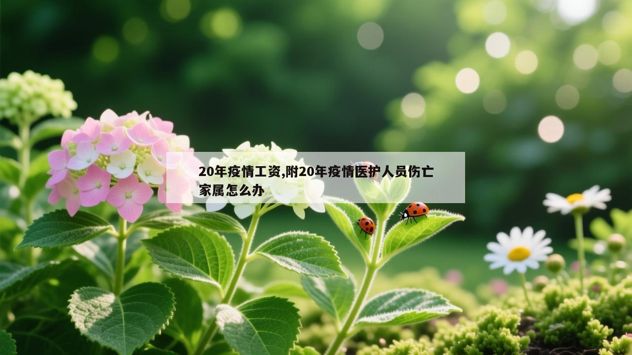 20年疫情工资,附20年疫情医护人员伤亡家属怎么办