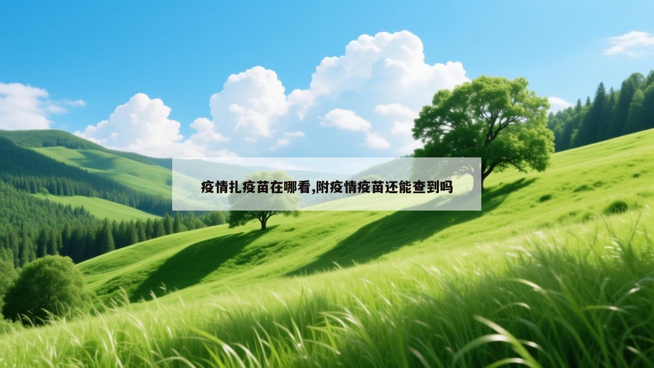 疫情扎疫苗在哪看,附疫情疫苗还能查到吗