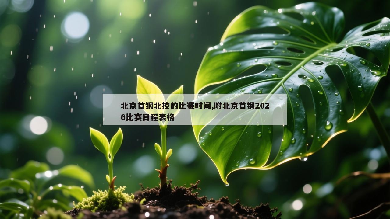 北京首钢北控的比赛时间,附北京首钢2026比赛日程表格